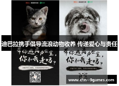 迪巴拉携手倡导流浪动物收养 传递爱心与责任 迪巴拉携手倡导流浪动物收养 传递爱心与责任